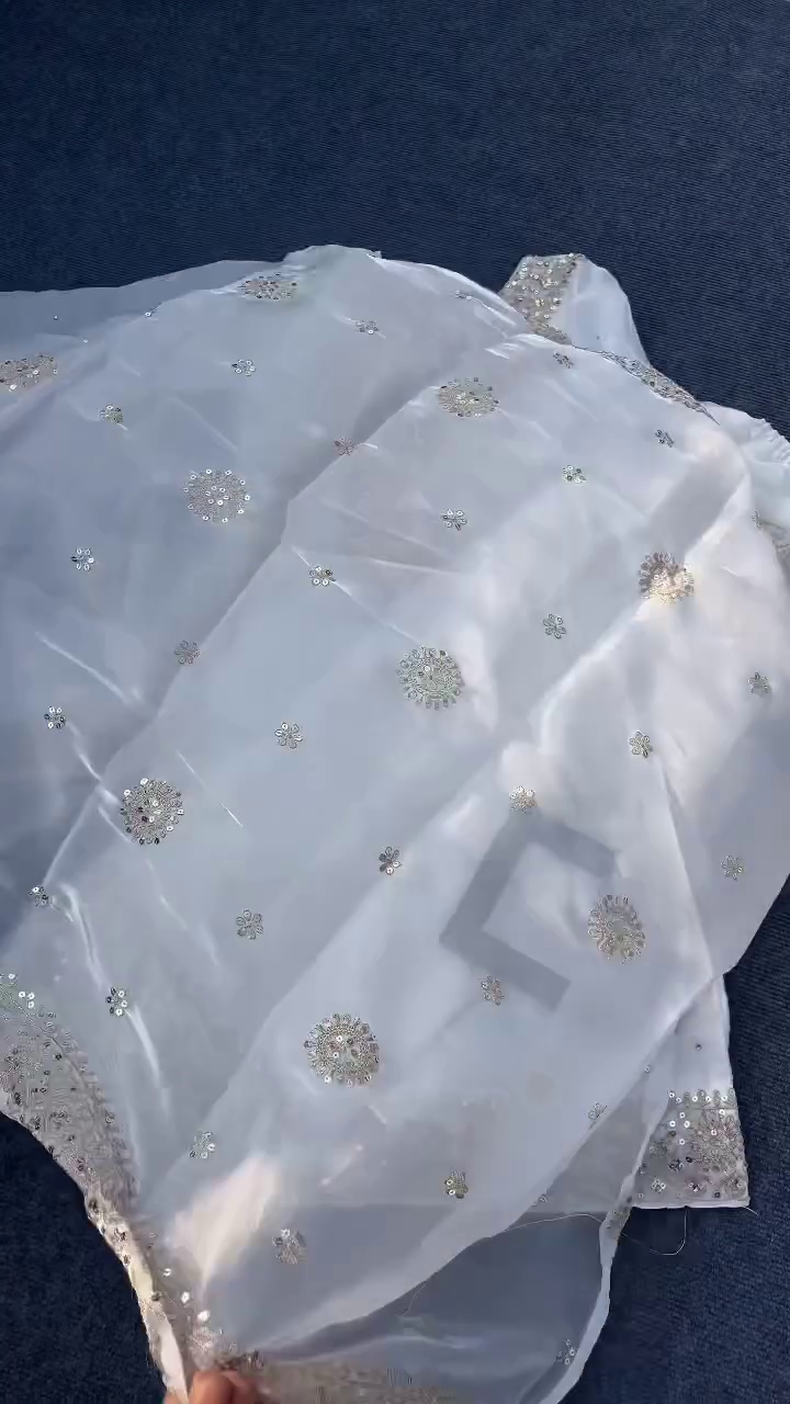 ✨ Pearl Glow Organza Embroidered Dupatta – Luxe Ethnic Essential ✨