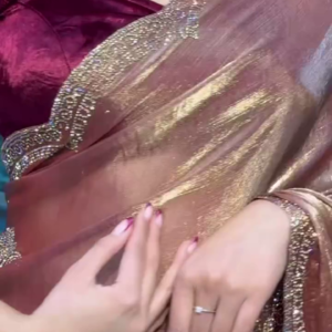 Luxe Rose Gold Velvet Saree with Shimmering Embellished Border