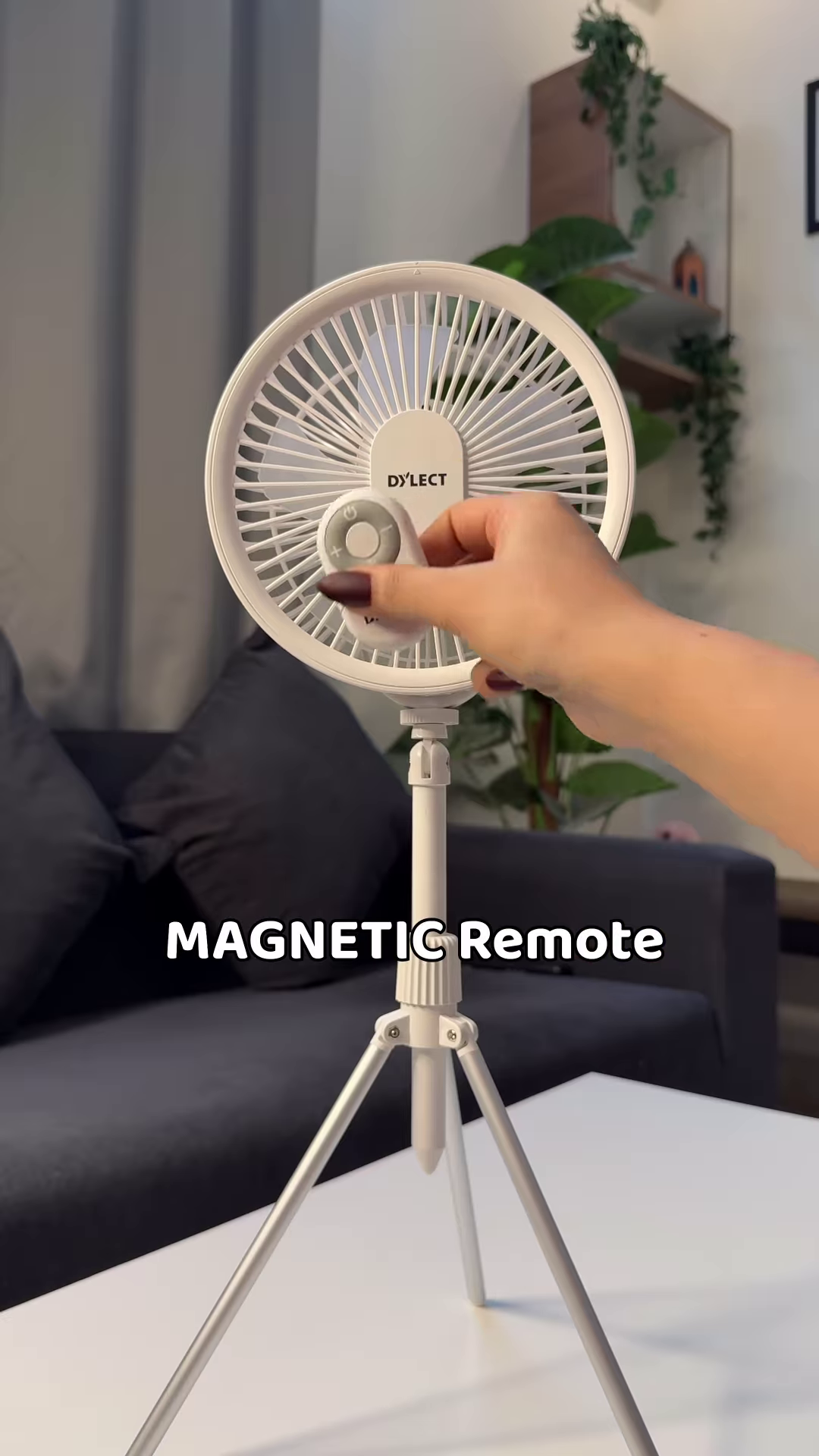 π  The Coolest Night Companion Is Here! β¨π