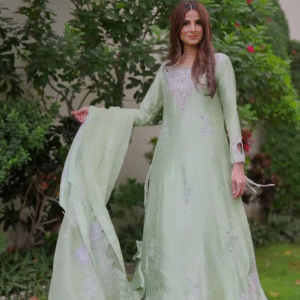 New Desginer Party Wear Look Stylish Set